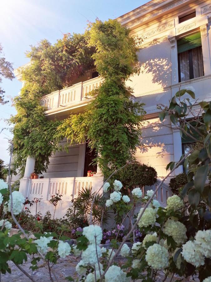 Villa Giordanelli Scalea Dış mekan fotoğraf